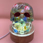 Skull Ornamental Light